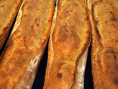 天然酵母でつくるパン